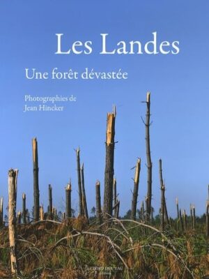Les Landes, Une Forêt Dévastée